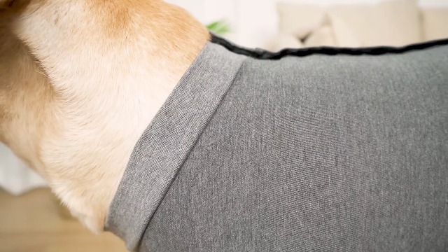 Amazon | 術後服 犬用 服 術後ウェア 保護服 犬介護服 傷口保護 傷舐め
